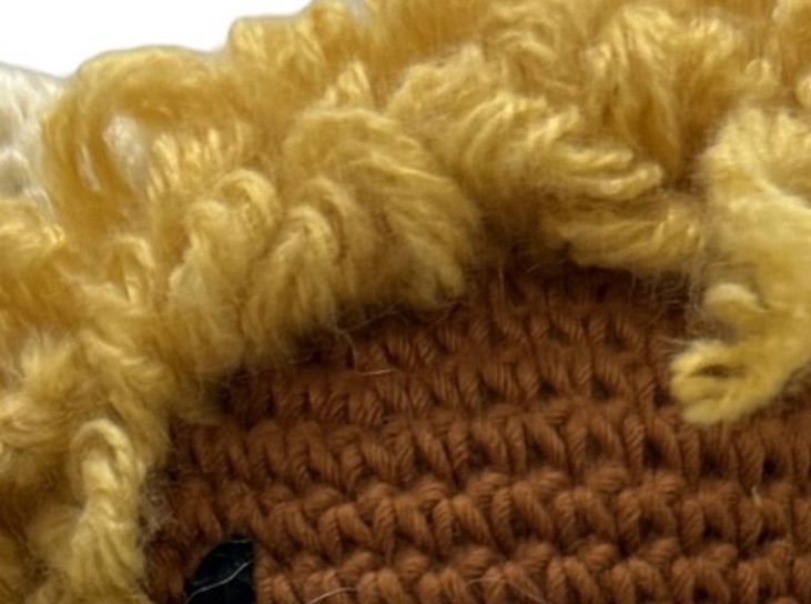 Close-up of Hamish's shaggy yarn fringe